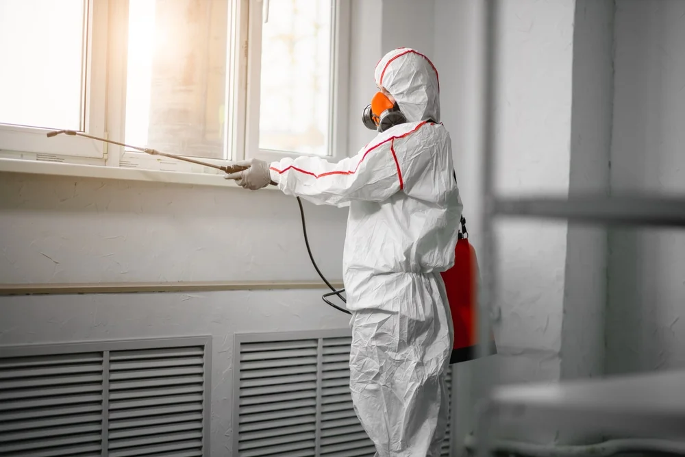 Professional mold remediation services in Hackettstown, NJ